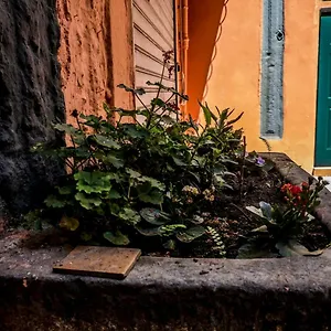 Little House Appartement Naples